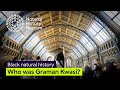 Natural History and Quassia amara