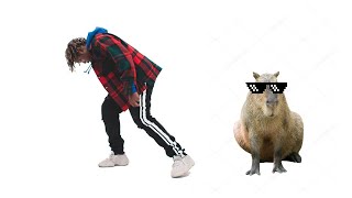 Okay I pull up Capybara Edition Lyric Video