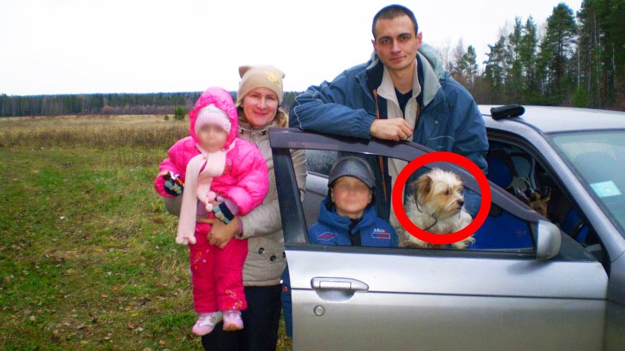 top movies on netflix Family Told By Airline They Can't Take Their Dog On The Plane Makes A Dreadful Decision Instead