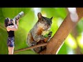 I found tropical squirrels & crawled up to crocodiles 🐿🐊 | Diaries of a Wildlife Photographer