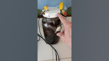 Making Colloidal silver