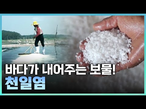 [<strong>기술자들</strong>] 시간과 정성으로 탄생한 기술 / YTN 사이언스