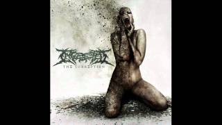 Ingested - Castigation and Rebirth (NEW SONG 2011) With Lyrics