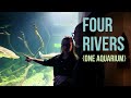 I Visited a Freshwater Aquarium in the City on Four Rivers #freshwaterfish #freshwateraquarium