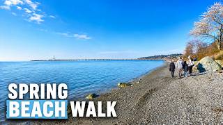 White Rock Beach Spring Time screenshot 5