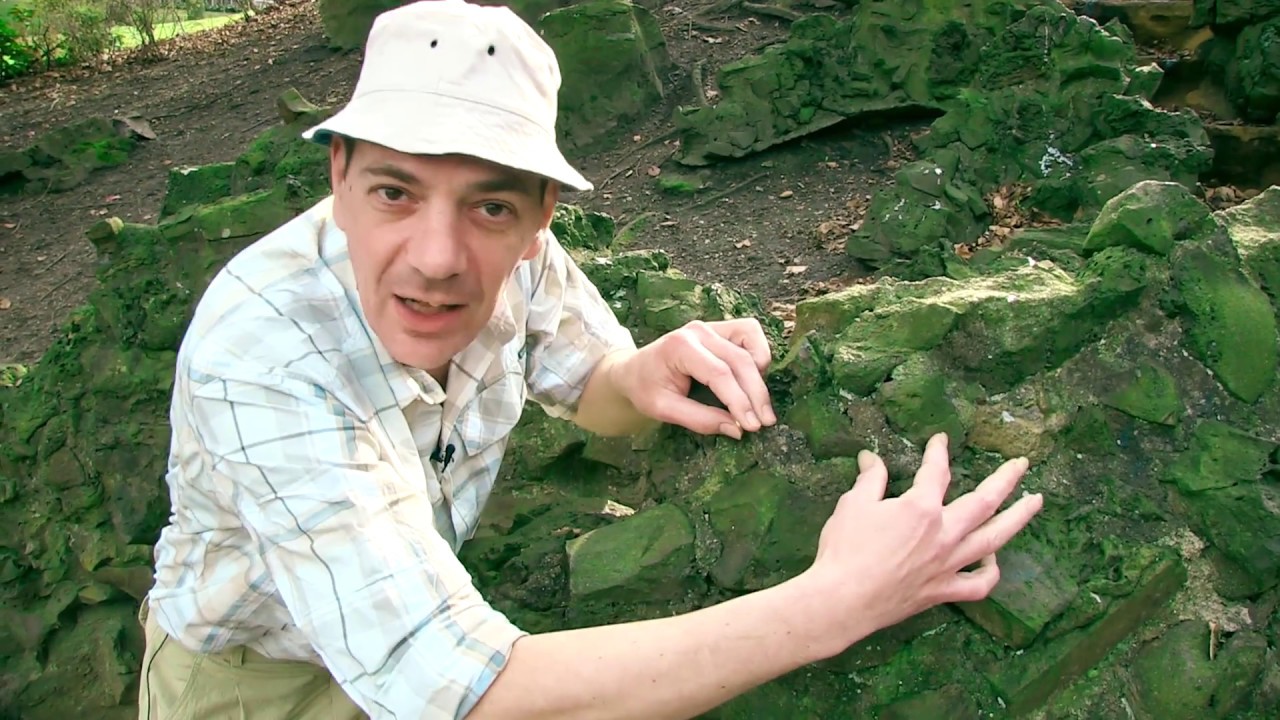 Roosjesdag 2017 - Wyboud in het Wild