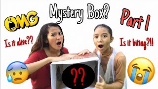 Information WHAT’S IN THE BOX CHALLENGE PART 1 2020! | Vivian & Velvet Update
