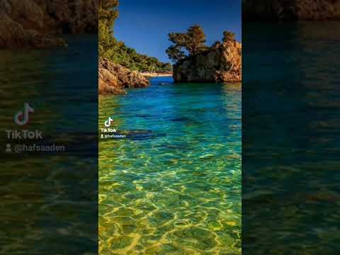 Don T Give Up No Matter What Keep Trying You Will Get There