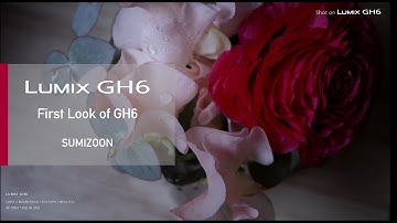 LUMIX GH6 | GH6 First Look by SUMIZOON