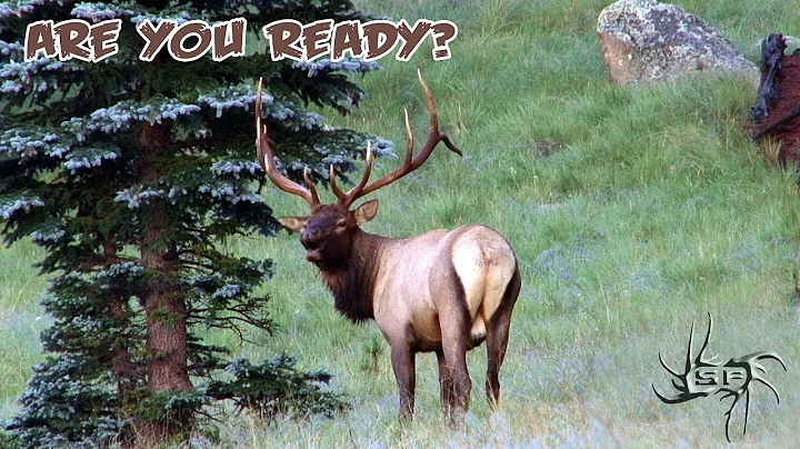 AZ Elk Videos - Are You Ready