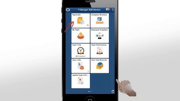 PeopleSoft Time and Labor Fluid Approvals