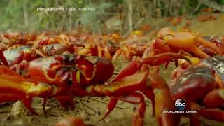 Planet Earth as you've never seen it before