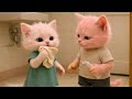 Brother Cat and Sister Cat’s Crazy Prank Story | Emotional &amp; Funny Cat Adventure PART 12