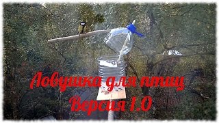 Ловушки для птиц. Версия 1.0. Ловушка с пружиной Ловушки для птиц. Версия 1.0. Ловушка с пружиной