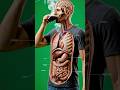 What Happens Inside Your Body When You Drink Coffee? | 3D Medical Animation #3danimation  #health
