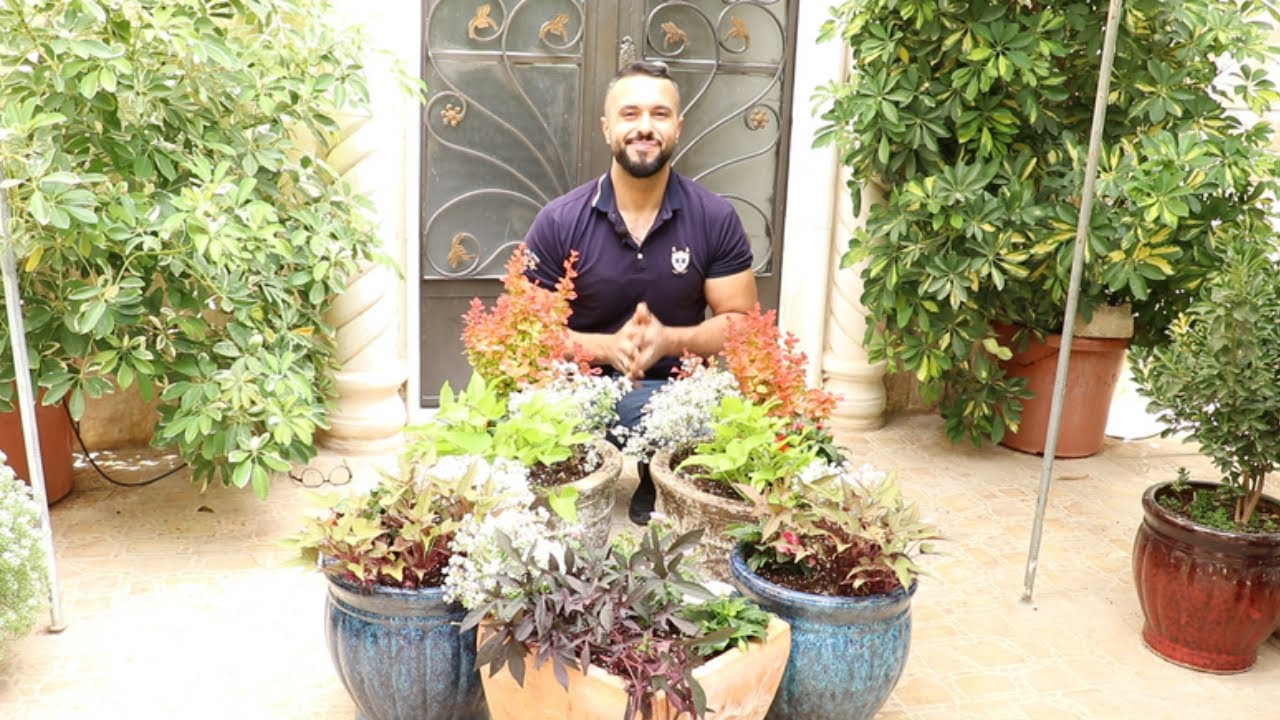 زراعة تشكيلة نباتات تتناسب مع فصل الصيف