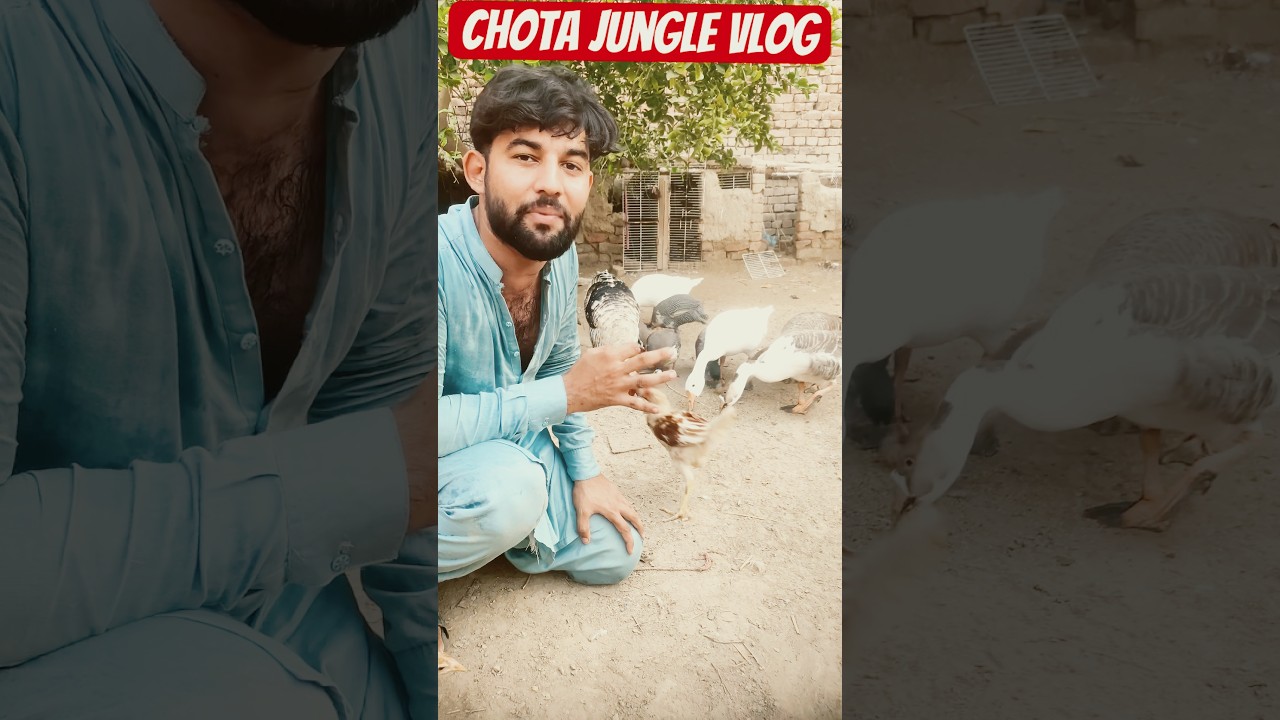 Chota jungle vlog
