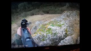 Лов на диви прасета / Wild boar hunting