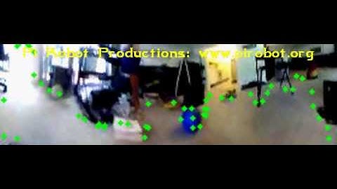 Obstacle Avoidance using OmniVision #3