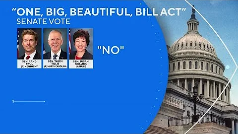 Why 3 Republicans voted against President Trump's "Big" bill?