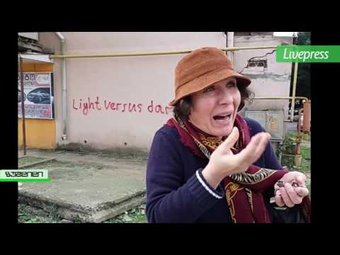 დადიანის ქუჩაზე მოჭრილი ხეები