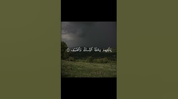 سورة قريش | بصوت الشيخ فارس عباد