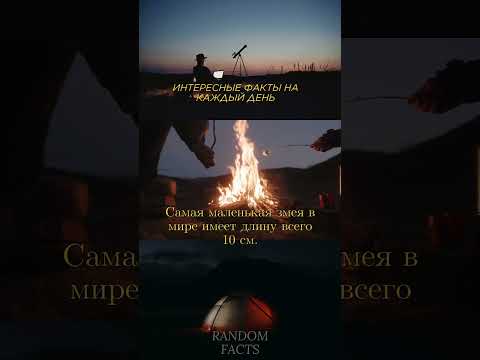 ИНТЕРЕСНЫЕ ФАКТЫ НА