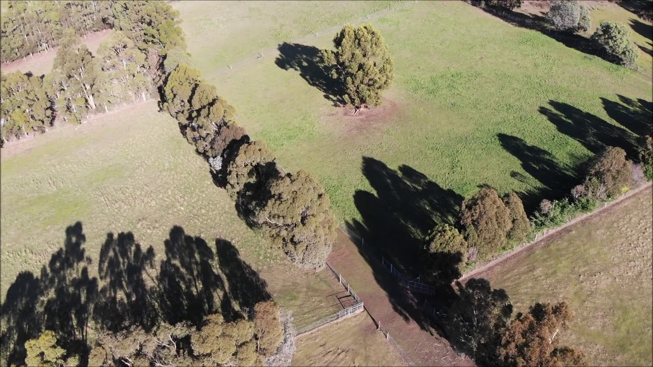 Blackwood Creek Edited YouTube