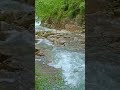 نبينا محمد قد ارسلا نبينا محمد قد ارسلا