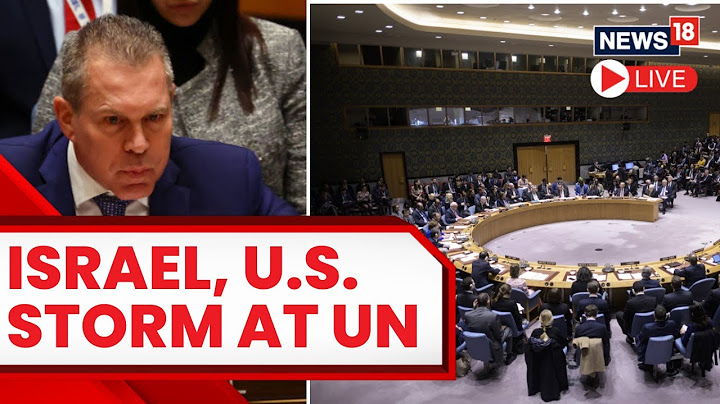 Israel Vs Palestine Conflict Live | UN Concerned About Israel Hamas Conflict Live | Gaza | N18L