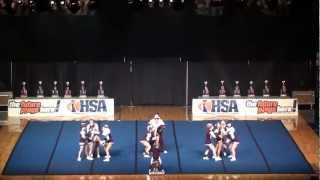Rockridge Rockets Cheer finish 2nd in the IHSA finals