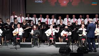Türkü Yarenleri - Barış Güvercini