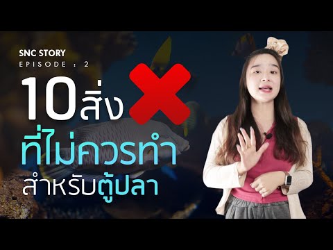 วีดีโอ: ใช้เวลานานเท่าไรในไข่ห่าน?