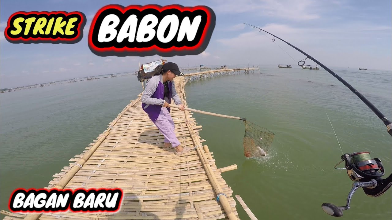 PERTAMA KALI KE BAGAN INI !!! LANGSUNG STRIKE BARRAMUNDI BABON