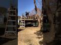 How to make the most out of a single load on a dump truck