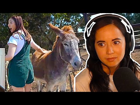 Maya was SHOCKED when Janet did this to the donkeys