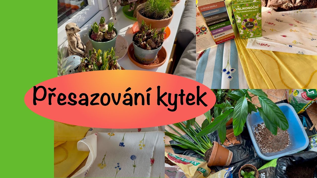  Vlog-drobnosti na Velikonoce, začínám přesazovat kytky