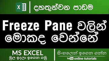Microsoft Excel Beginner Course (Sinhala) - Part 13 - Freeze Pane