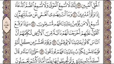 سورة النمل الشيخ ياسر الدوسري صفحة ٣٨٤