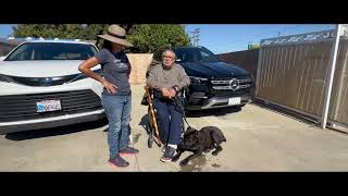 Cane Corso Training | Lucas | Montebello, CA