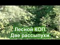 Лесной коп. Две рассыпухи.