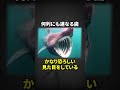 見た目がイカつすぎるだけの優しいサメ「ウバザメ」