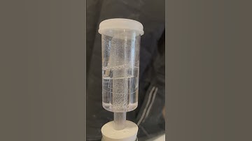 Airlock- making moonshine #homebrewing #applecider #moonshine #booze #airlock