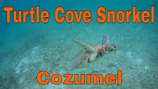 Turtle Cove Snorkel in Cozumel, Carnival Cruise Turtle Cove & Cavern  Snorkel Part 1 - YouTube