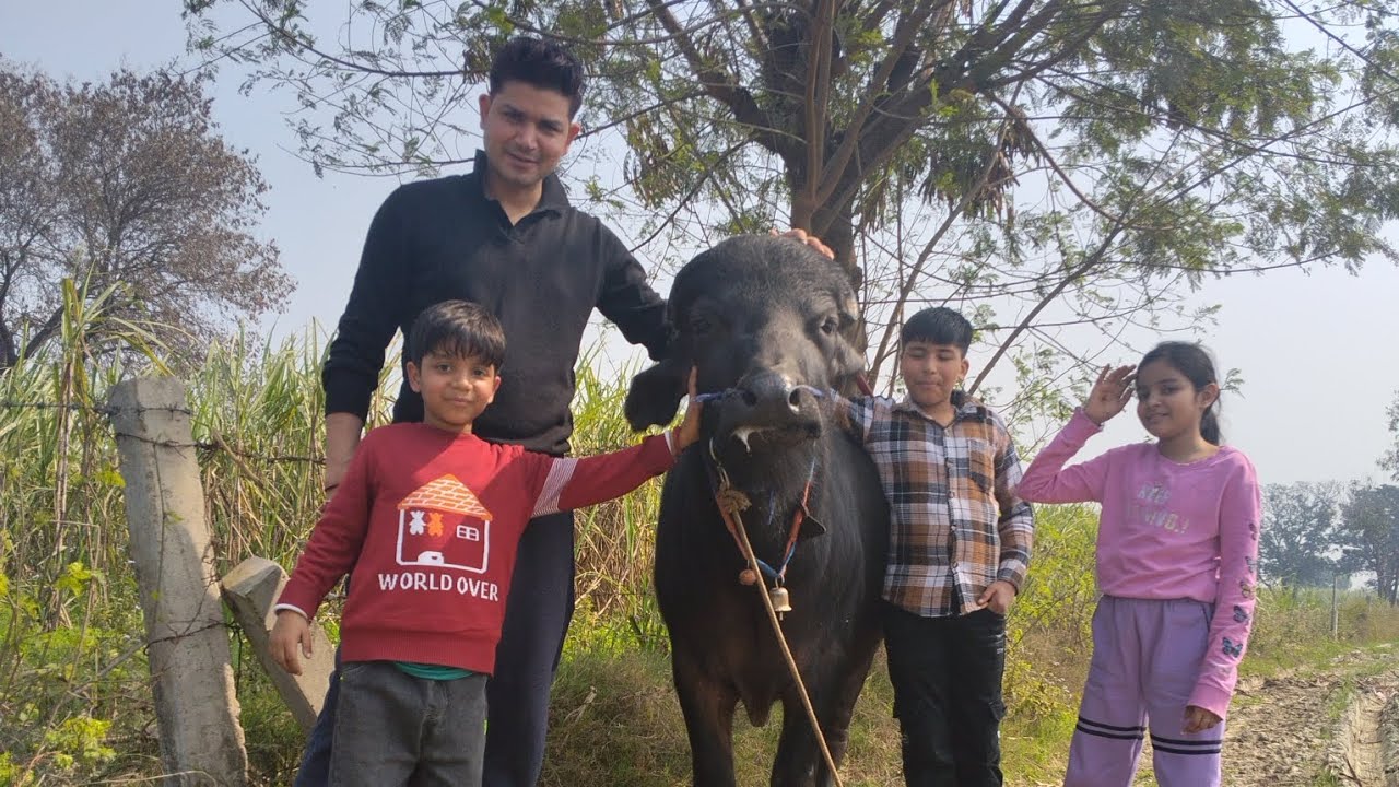 आज गाँव में घुमने गए वो भी बूगी में #youtube #viral#villagelife 