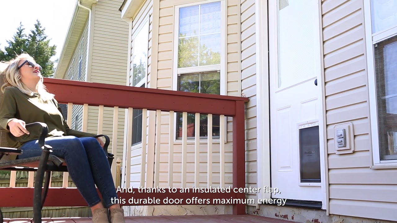 extreme weather cat door