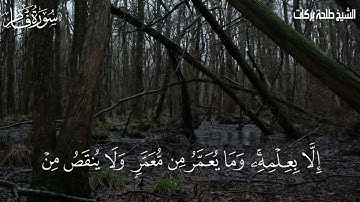 تلاوة من سورة فاطر من الآية ١٠ الى الآية ١٤ ||الشيخ طلحة بركات ||