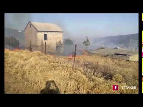 ნაფეტვრებში ბალახი იწვის