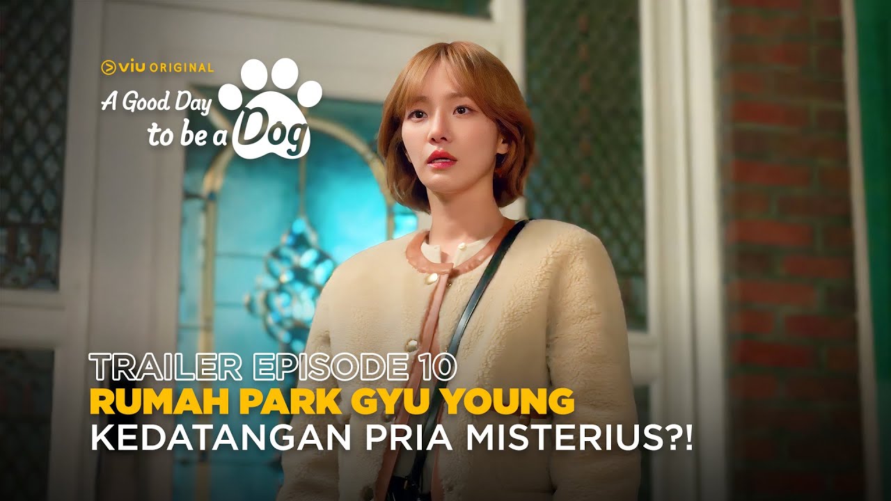 A Good Day To Be a Dog Episode 10 Trailer: Cha Eun-Woo, Park Gyu-Young Get  Suspicious of Lee Hyun-Woo