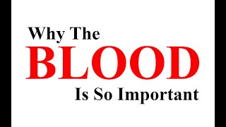 Why The Blood Is So Important?